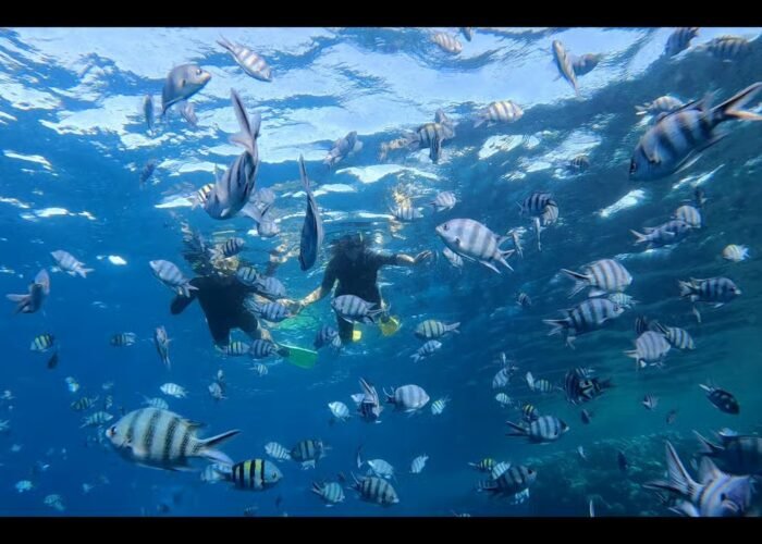 Sharm El Sheikh to Dahab Day Trip with Blue Hole and Colored Canyon