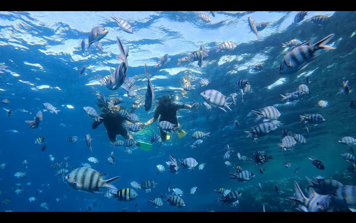 Sharm El Sheikh to Dahab Day Trip with Blue Hole and Colored Canyon