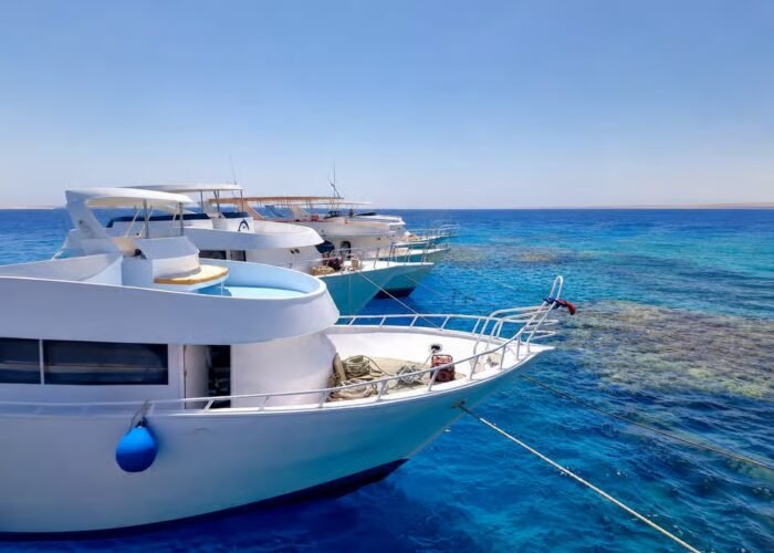Marsa Alam Samadai Dolphin House Snorkeling and Diving Tour