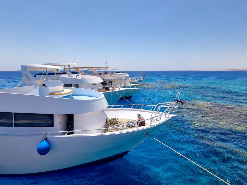 Marsa Alam Samadai Dolphin House Snorkeling and Diving Tour