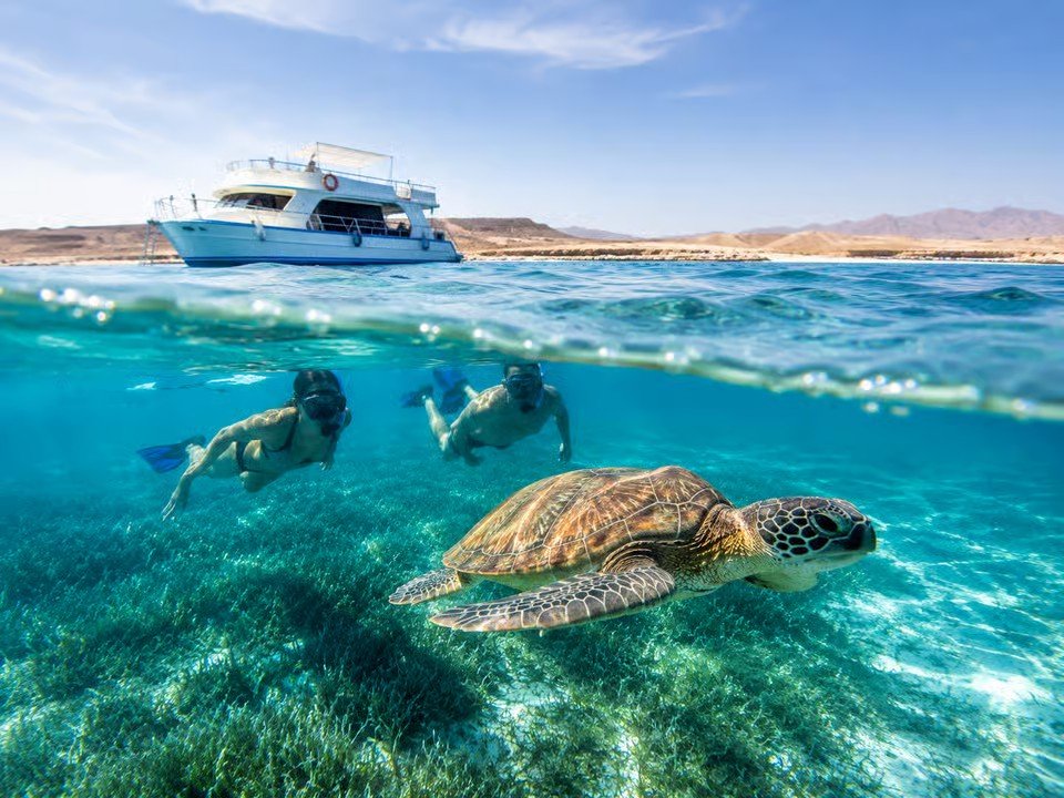 Marsa Alam desert safari with quad biking, camel and horse rides, seaside dinner, and telescope stargazing